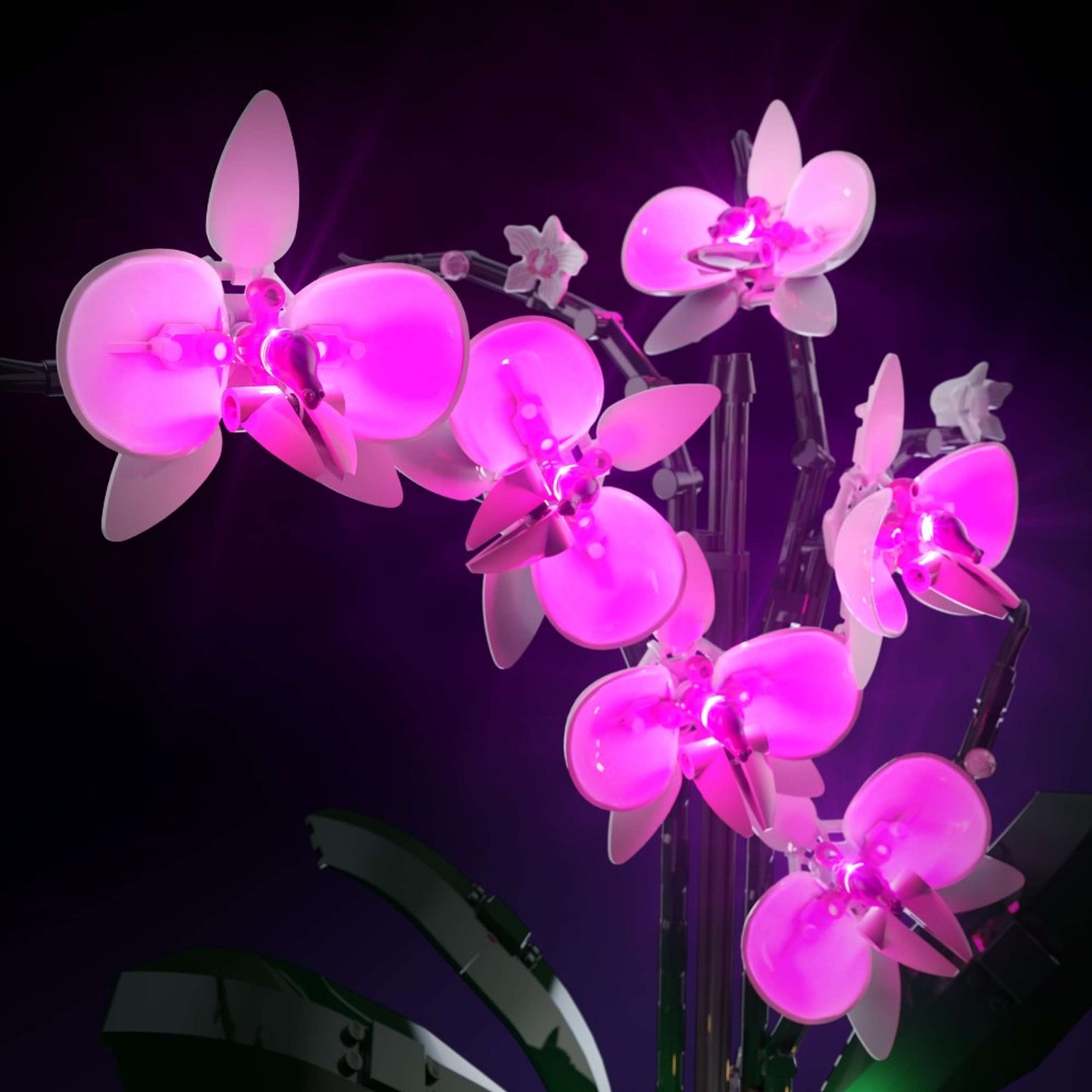 LMB 2.0 Light Kit for LEGO® Orchid #10311