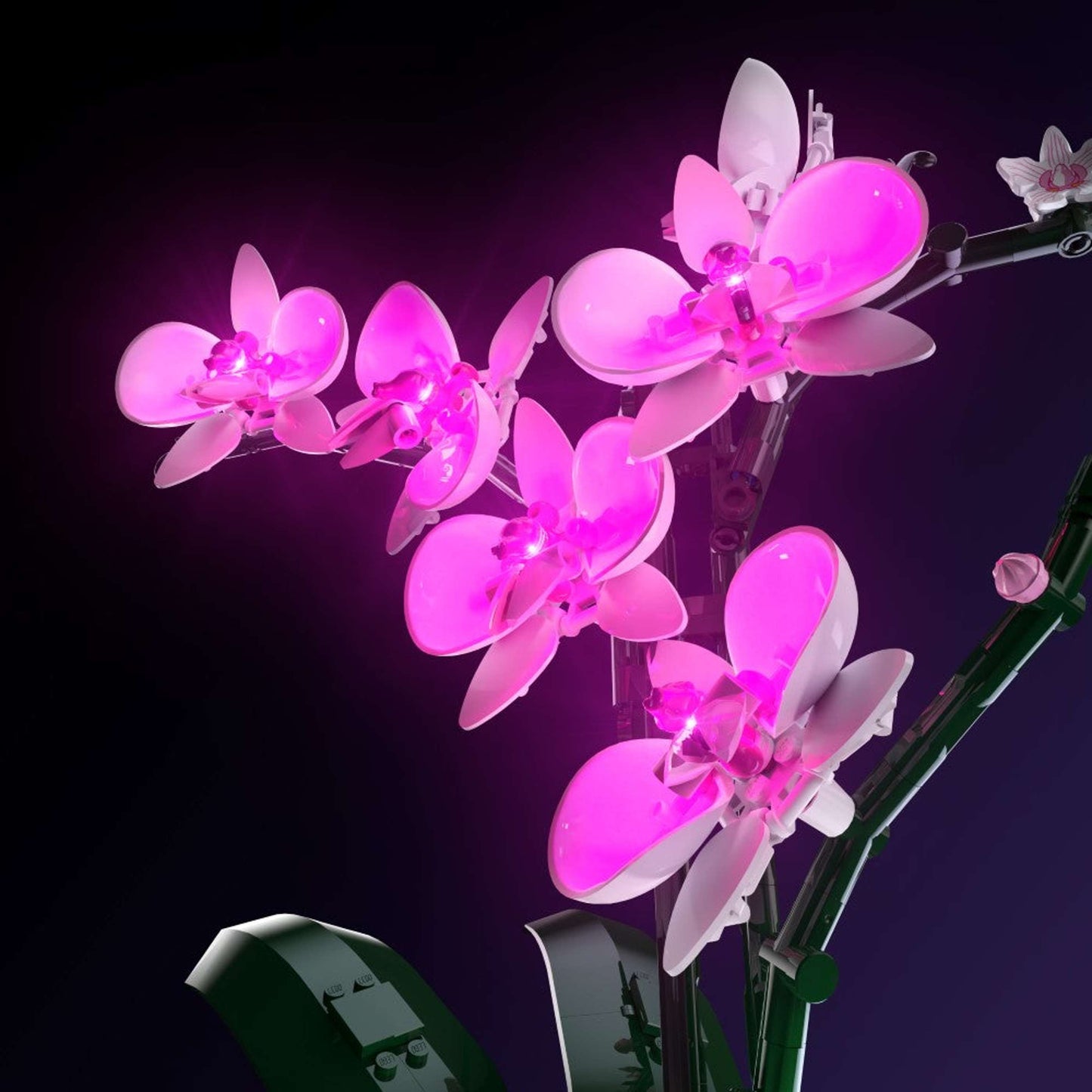 LMB 2.0 Light Kit for LEGO® Orchid #10311